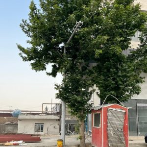 دوربین ها 
